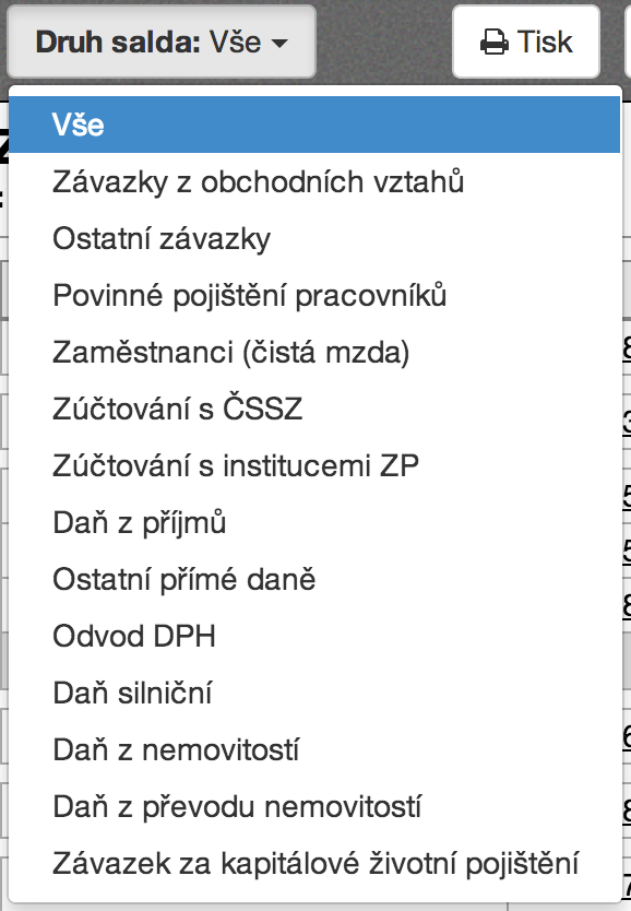 Příklad parametru Druh saldokonta (závazky)